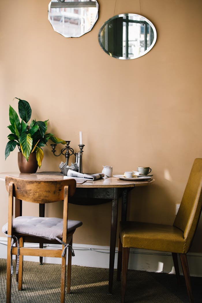 Warm and inviting dining area with vintage chairs, table, plants, and mirrors for a rustic feel.